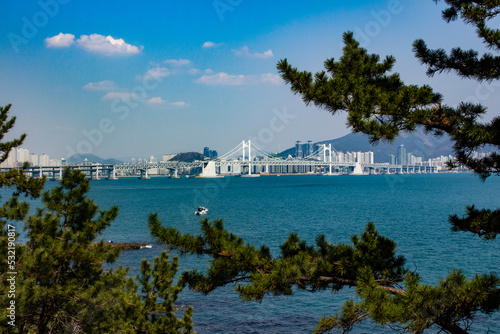 view of bay in busan