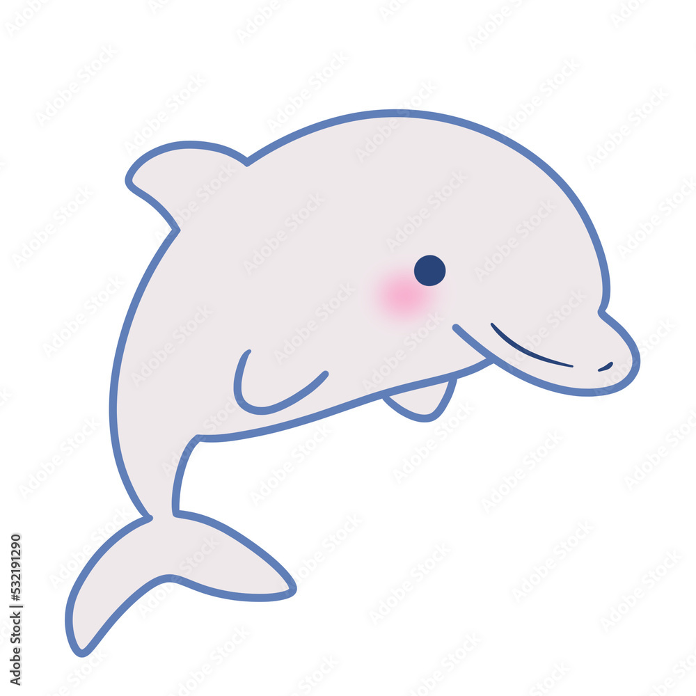 dolphin sea animal dolphin sea animal
