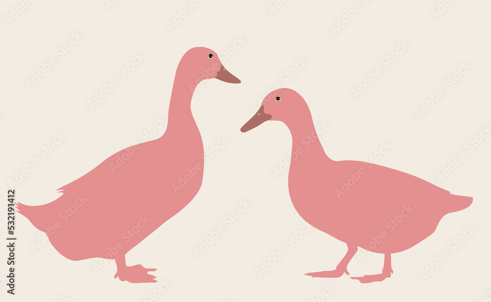 duck. Vector illustration isolated on background.the figure shows the duck.