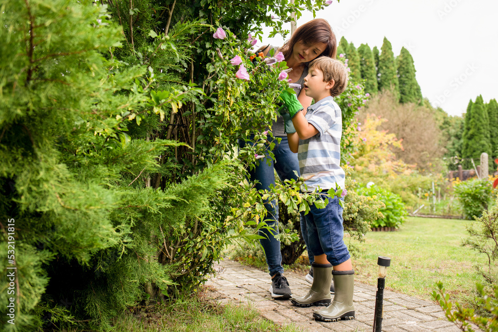 Mom and son taking care of plants in family garden Mom and son taking care of plants in family garden