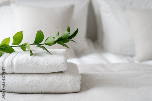 Green branch plant on fresh bathroom towels