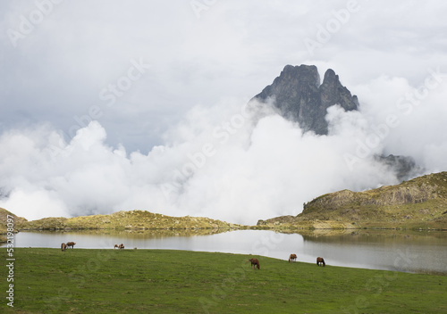 Horses in the Ayous Lakes with the Midi dOssau mountain in the clouds, Pyrenees National Park, France photo