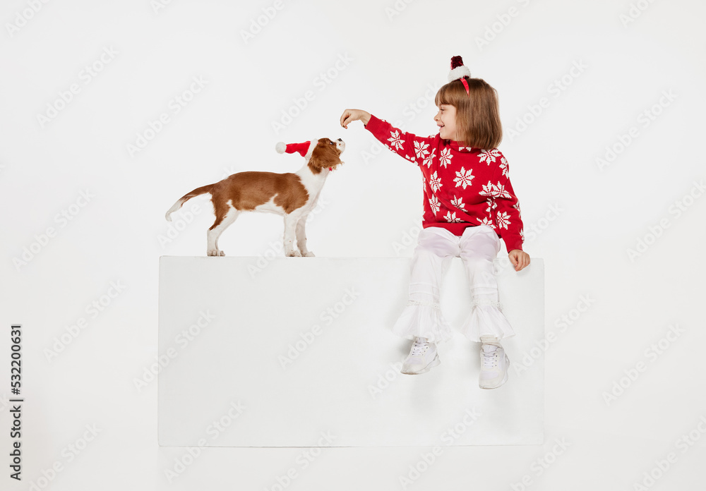 Portrait of beautiful little girl, child posing with dog isolated over white studio background. Feeding dog