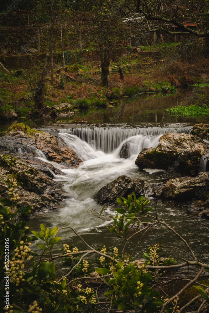 Obraz premium waterfall in the forest