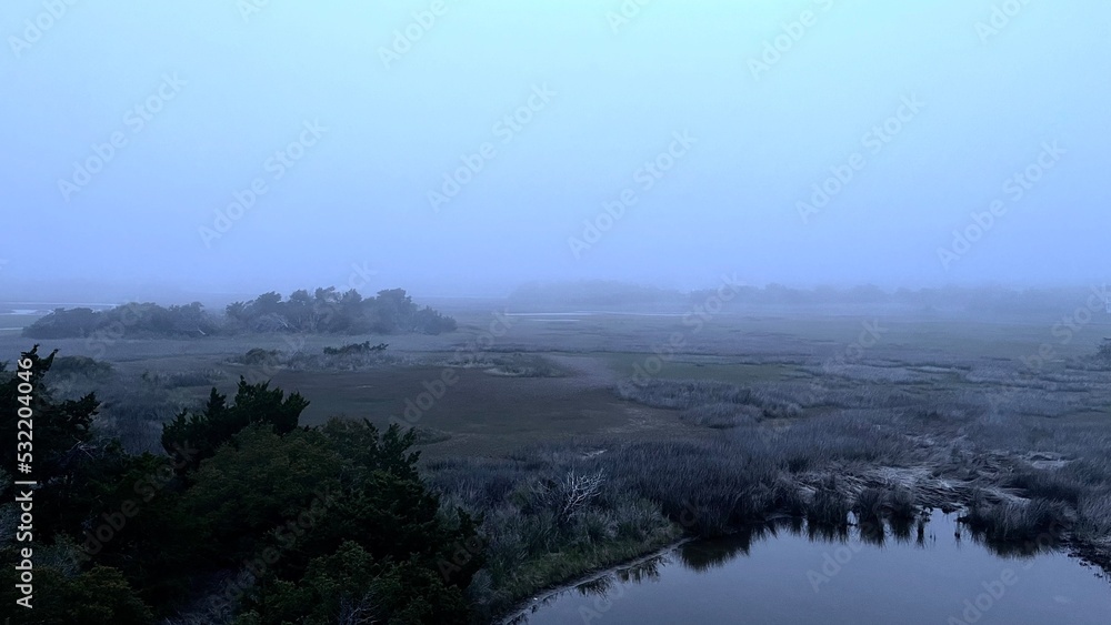 fog in the marsh
