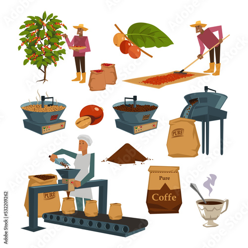 Coffee production process cartoon illustration set. Worker harvesting, drying, roasting grains in machine and packaging coffee beans. Factory, manufacture, industry concept