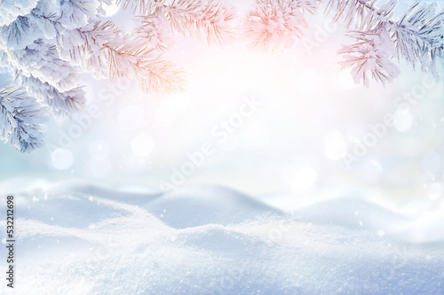 Beautiful light background image for an invitation or postcard on a New Year's theme with snow-covered spruce branches and a pristine snowy surface. © Laura Pashkevich