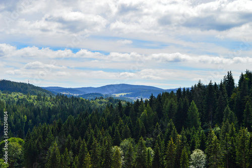 forest in germany vogtland with mountains in back © Tina