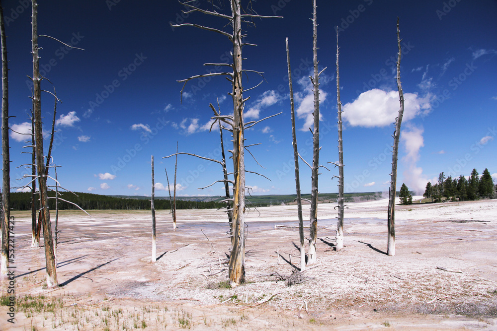 Yellowstone 