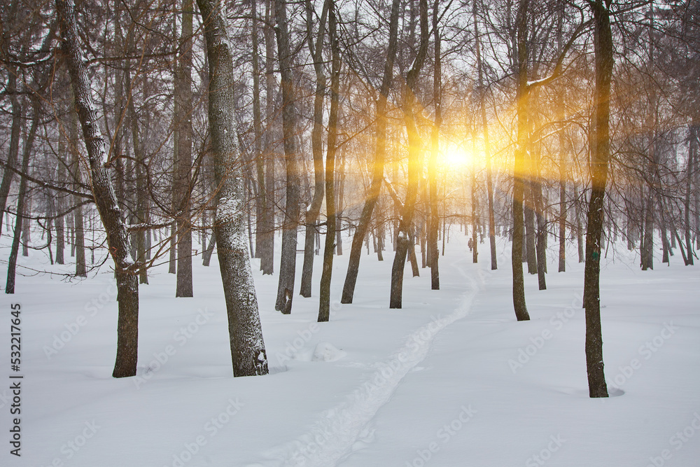 Winter city landscape. Winter park covered with snow. Winter city landscape. Winter park covered with snow.