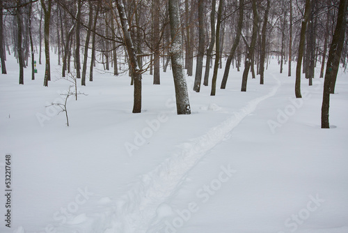 Winter city landscape. Winter park covered with snow. © Ryzhkov Oleksandr