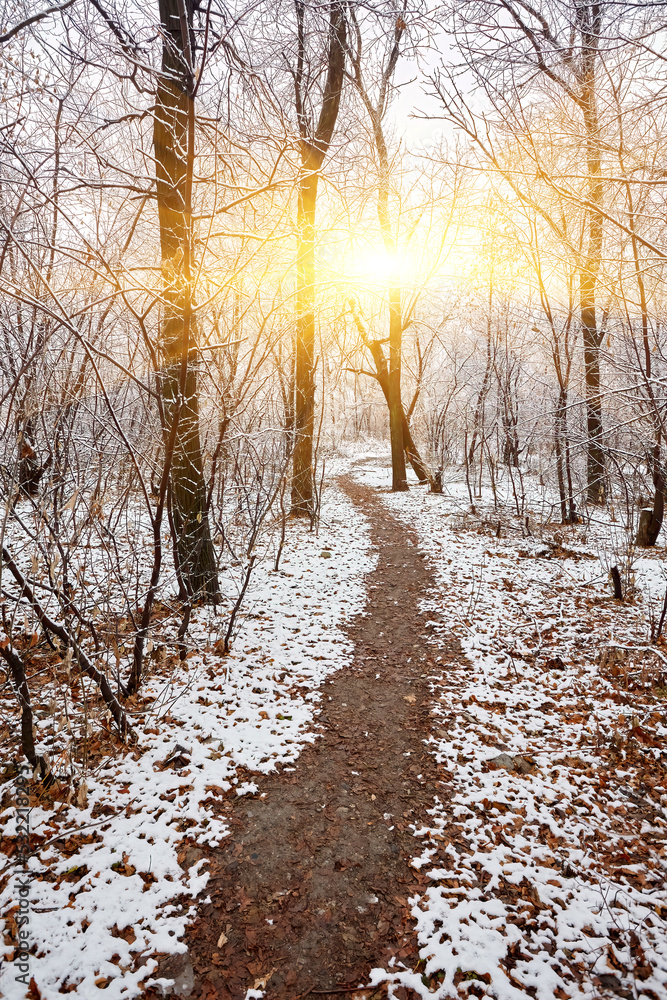 Beautiful winter park with sunset colors sky Beautiful winter park with sunset colors sky