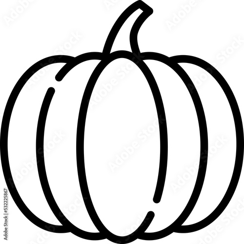 Pumpkin icon. Outline design. For presentation. photo