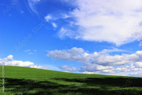 green field and sky