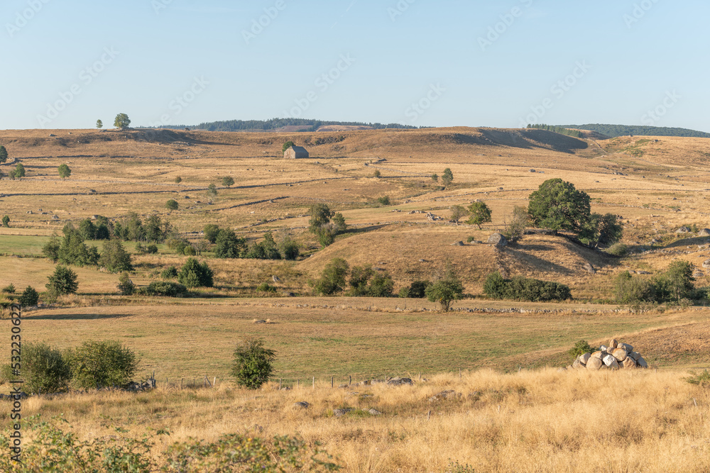 Landscape in Aubrac in summer, inspiring, infinite, enchanting, magical, peaceful, bewitching.