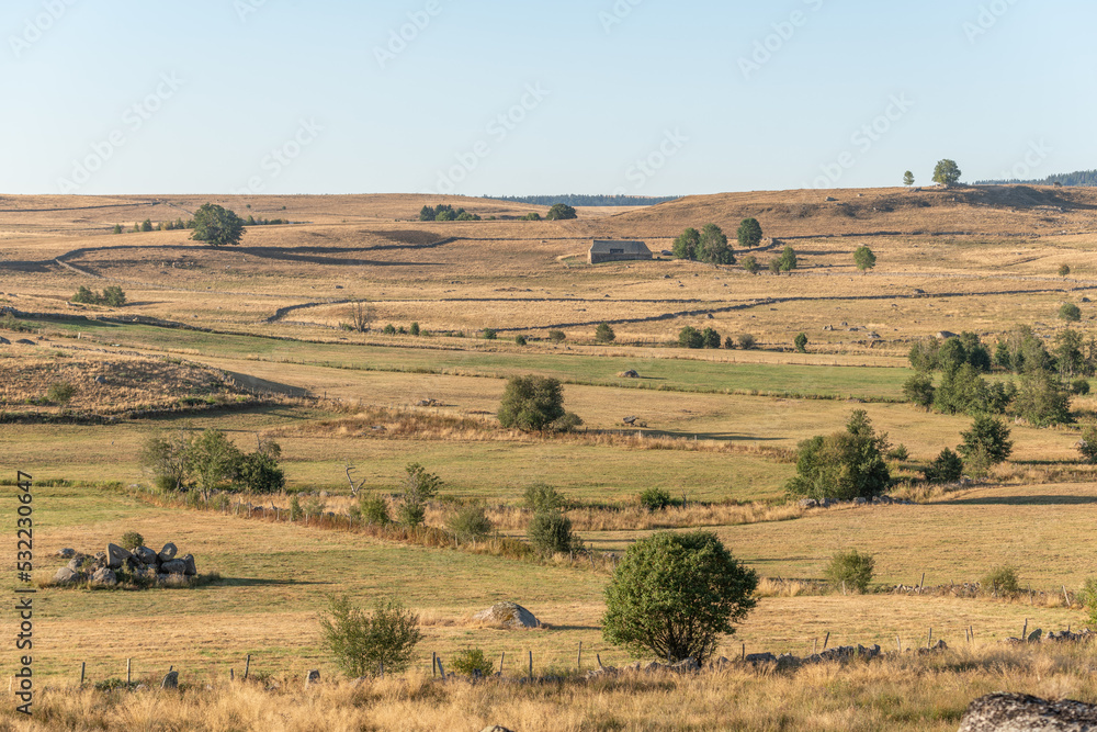 Landscape in Aubrac in summer, inspiring, infinite, enchanting, magical, peaceful, bewitching. Landscape in Aubrac in summer, inspiring, infinite, enchanting, magical, peaceful, bewitching.