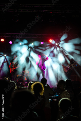 Viviendo el momento en un concierto.