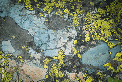 Abstract moss and lichen growing on rocks and granite slabs © MelissaMN