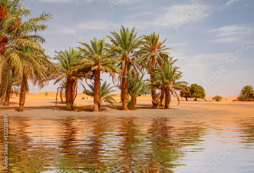 Sand dunes surround the oasis - Sahara, Morocco photo
