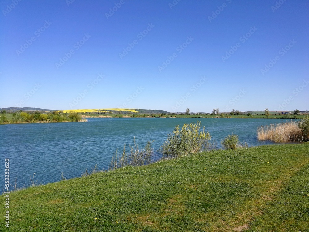 A lake or pond with a wrinkled blue surface. Banks overgrown with tall grass and bushes