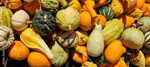 Mercado de Calabazas