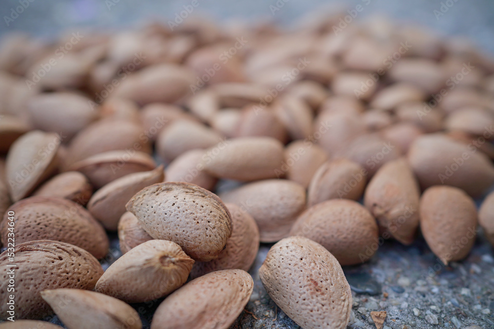 Almonds background great aperture Almonds background great aperture