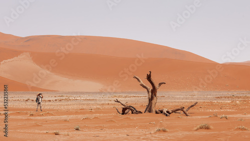 A tourist  photographs petrified camel  acacia in Deadvlei Valley. Namibia