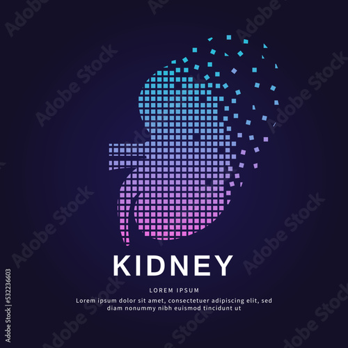 Human kidney medical structure. Pixel art Vector logo kidney color silhouette on a dark background. Urology vector design - EPS 10