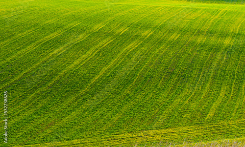 A stripy green field.j