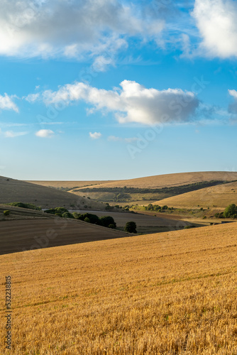 Sussex Downs late summer day.