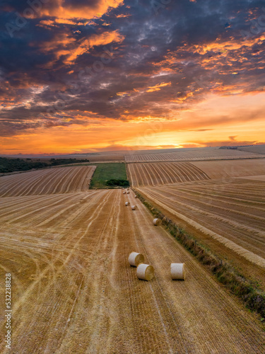 Sussex field at sunset