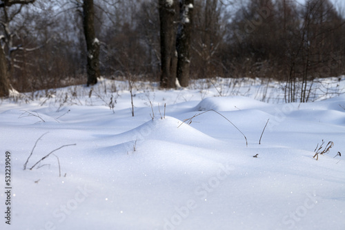 Snowdrift in winter forest