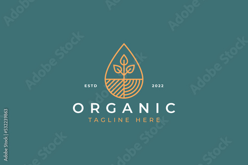 Organic Logo with Abstract Geometric Illustration Plant, Water Drop, Field for Food, Healthy Life and Agriculture Industry Brand Identity Concept.