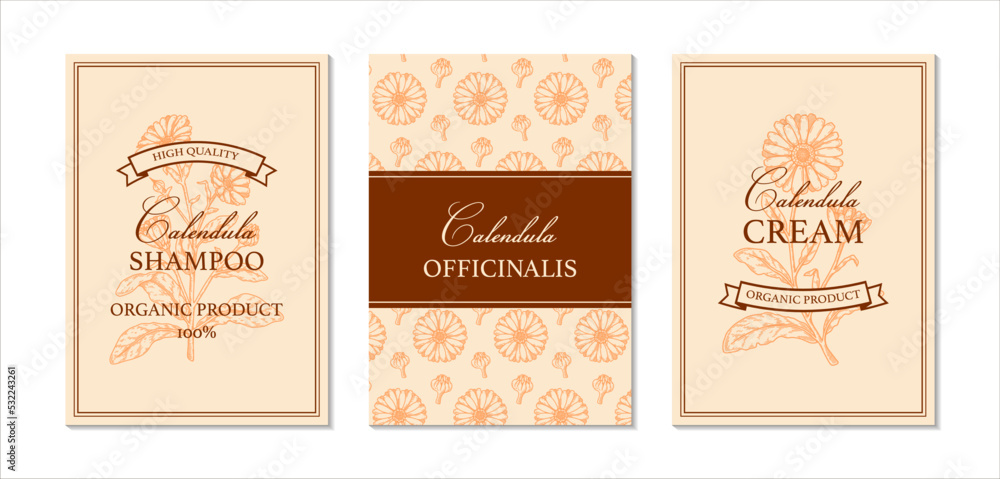 Set of calendula packaging design with hand drawn elements. Vector illustration in sketch style Set of calendula packaging design with hand drawn elements. Vector illustration in sketch style