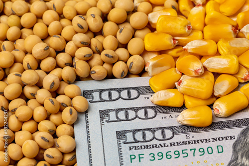Soybeans and corn kernels with cash money. Corn and soybean price, commodity market trading, and farming income concept