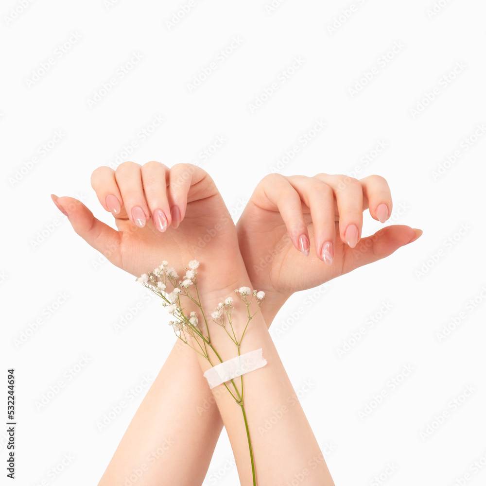 Female two hands with gypsophila flowers gel polish beige pink long