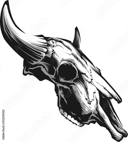 Bull  skull with horns