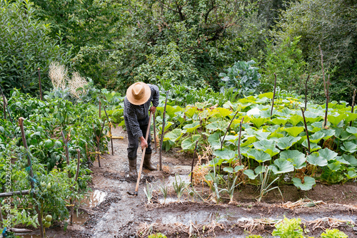 Unrecognizable farmer hoeing wet soil