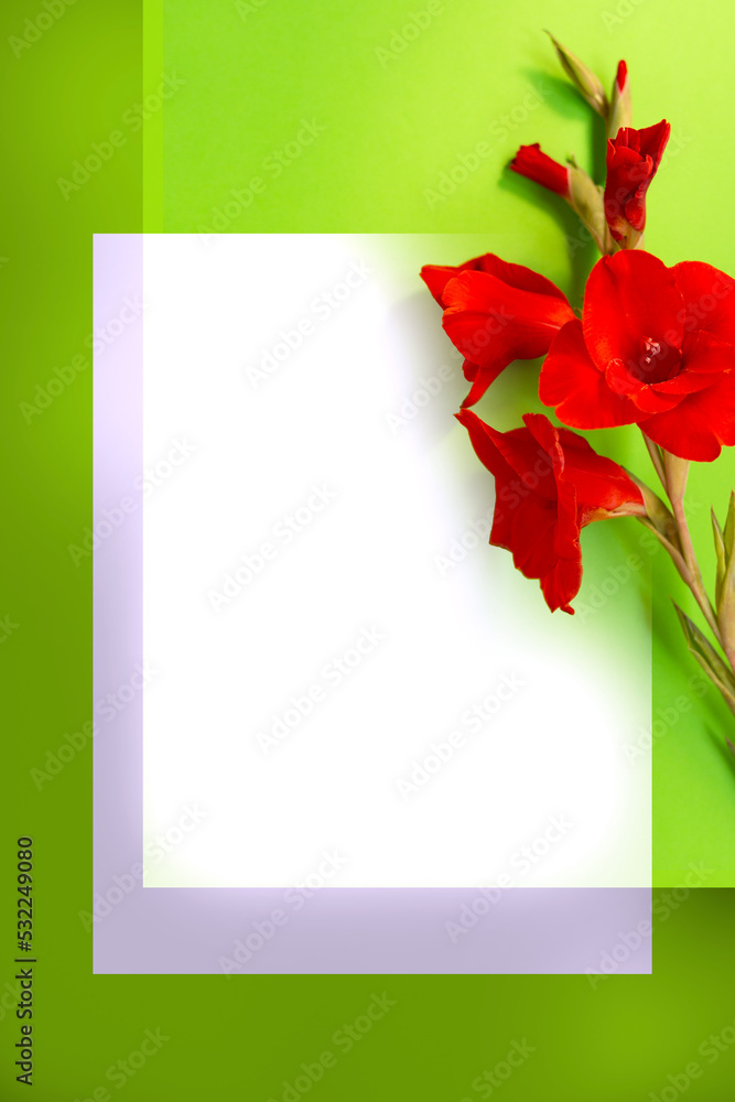 a postcard layout with red flowers on a green background. gladioli. Space for text. flat lying