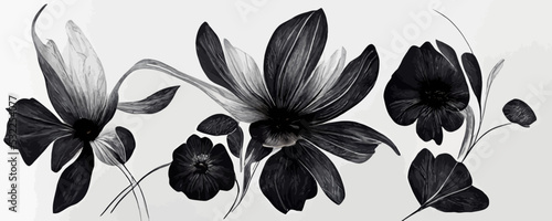 luxury black and white flowers art background