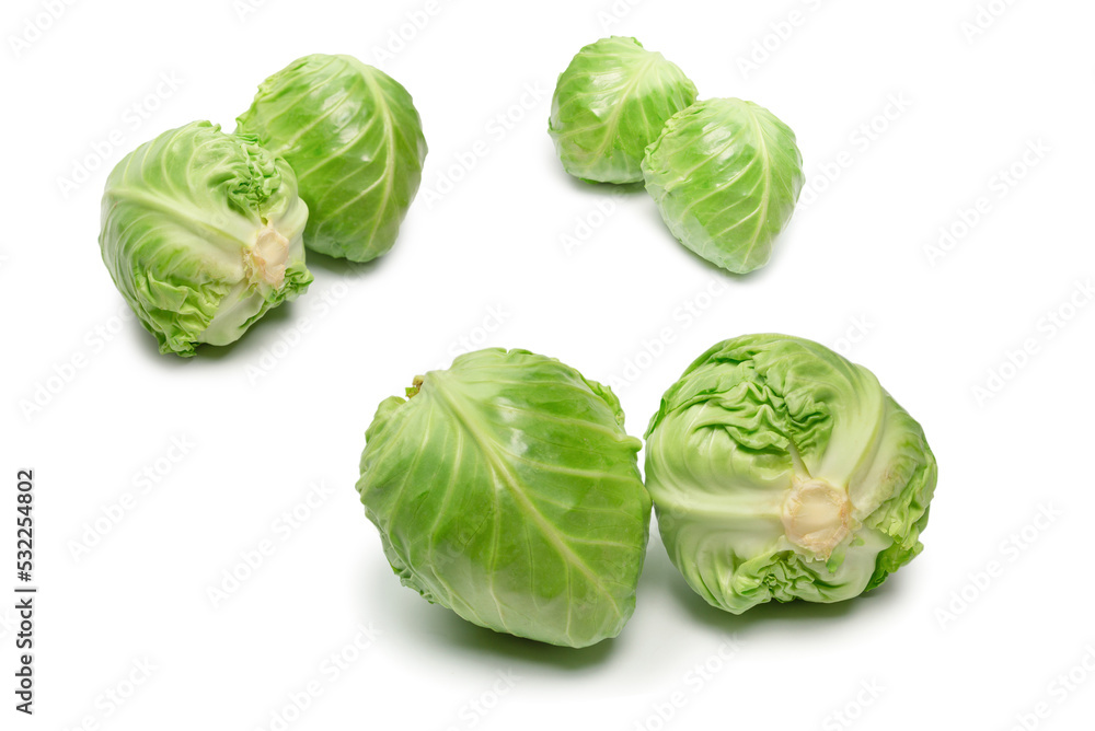 Cabbage isolated on white background. Cabbage isolated on white background.
