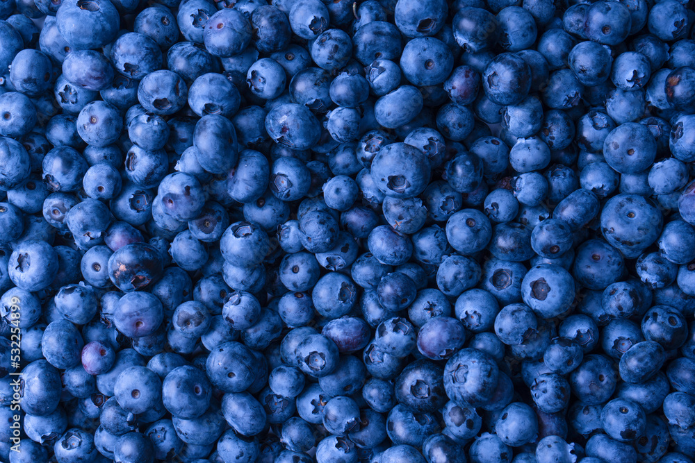 Fresh blueberry background. Texture blueberry berries close up. Fresh blueberry background. Texture blueberry berries close up.
