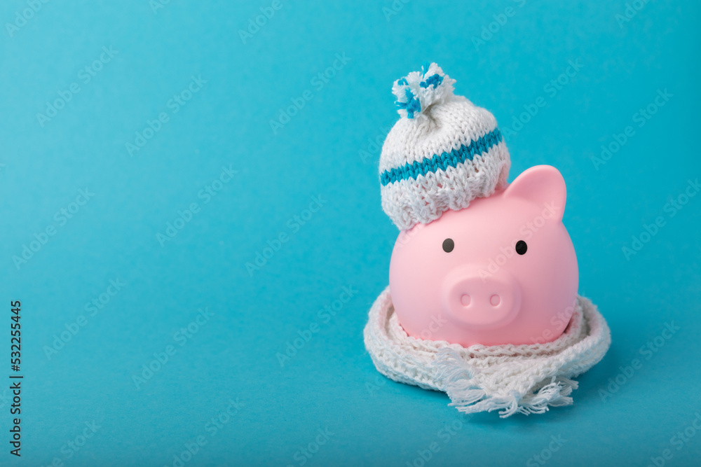 Savings concept. Piggy bank on blue texture background. A piggy bank in a warm winter hat that keeps you warm. Heat saving concept. Place for text. copy space Savings concept. Piggy bank on blue texture background. A piggy bank in a warm winter hat that keeps you warm. Heat saving concept. Place for text. copy space
