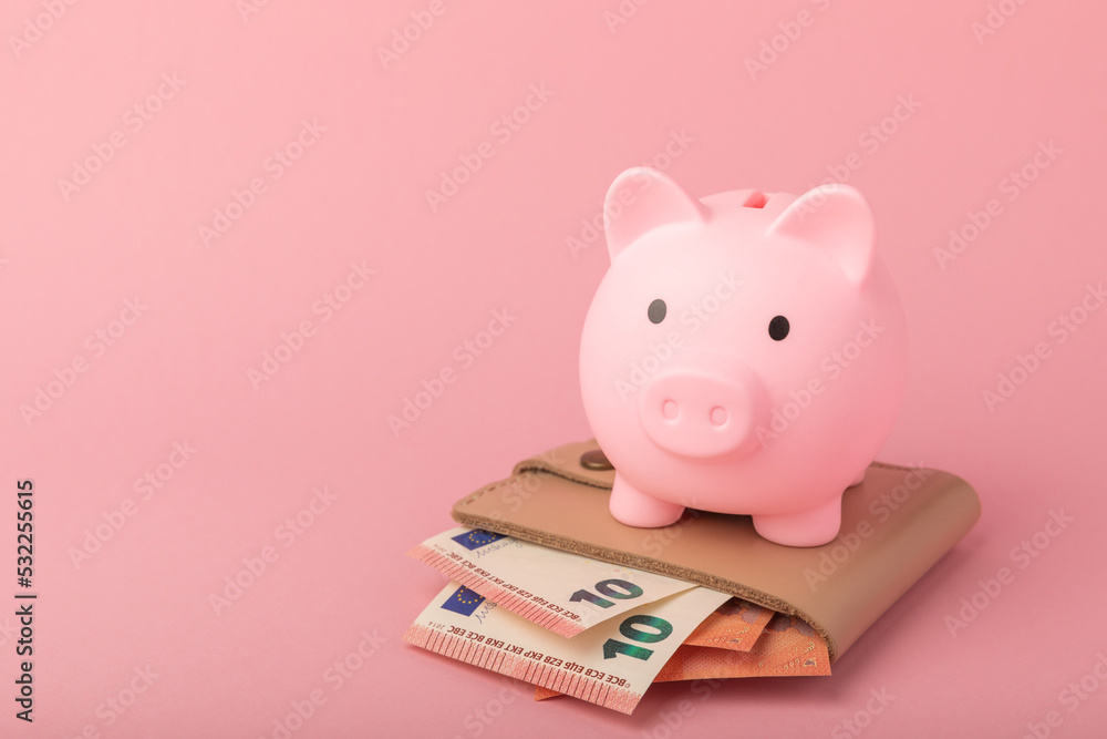 Piggy bank on a pink background. Piggy bank with a wallet and euro banknotes.The concept of investment and saving money.Investments.Place for milking text. Place to copy. mockup - obrazy, fototapety, plakaty 
