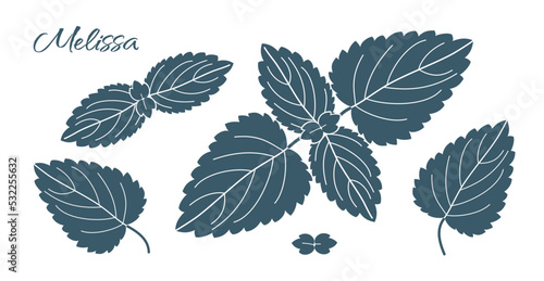 Melissa. Dark gray fragrant herb leaves lemon melissa isolated on white background. Set of silhouettes. Vector illustration for packaging design, printing, stickers and other projects.