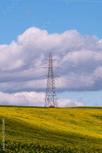 power lines in the rapeseed field on susses downs