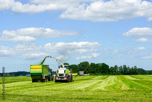 Fotografia The combine collect and pour silage into the tractor-trailer in the freshly mowe