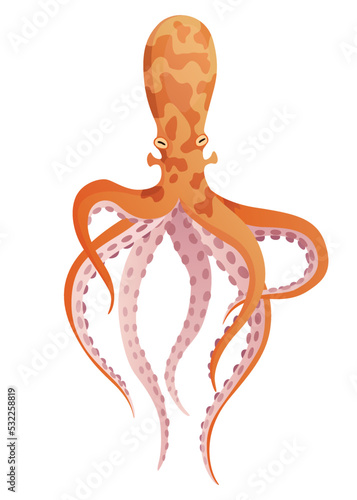 Octopus cartoon flat character with suckers on hands. Aquatic fauna icon. Animal illustration for zoo ad, nature concept. Cute color octopus, sea animal with tentacles