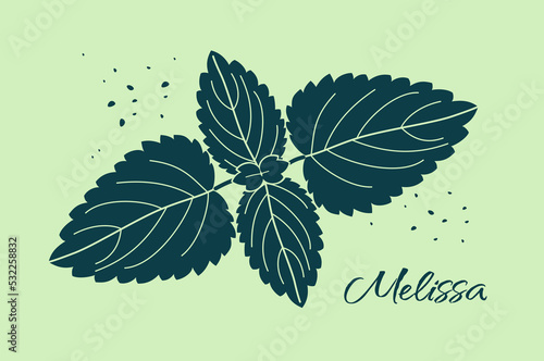 Melissa. Dark gray silhouette of fragrant grass leaves
lemon balm isolated on a light green background. Vector illustration for packaging design, printing, stickers and other projects.