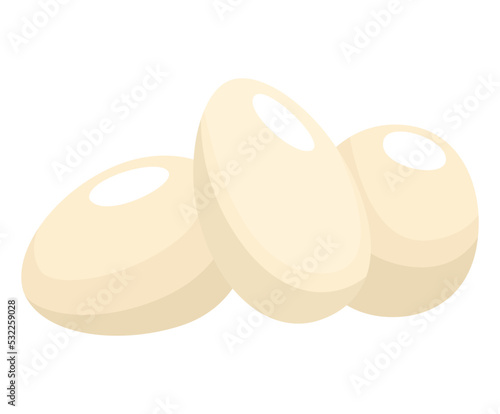 Sea turtle life cycle stage. Wild underwater animal. Cartoon cute ocean tortoise eggs. Development baby animal on white background